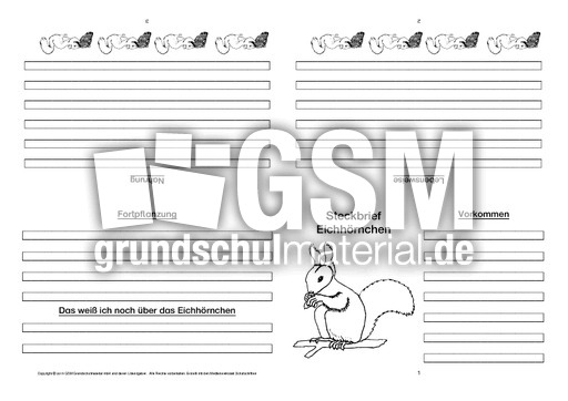 Eichhörnchen-Faltbuch-vierseitig-5.pdf